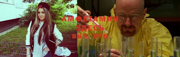 индика Мегион