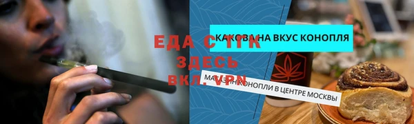 индика Мегион