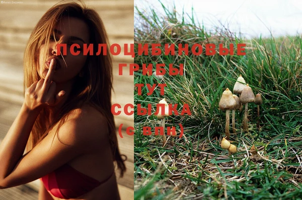 метадон Медвежьегорск