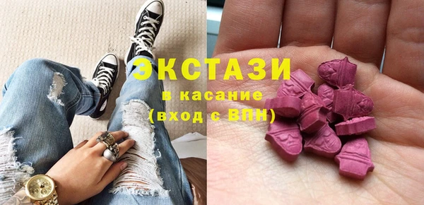 индика Мегион