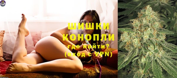 PSILOCYBIN Вяземский