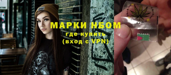 PSILOCYBIN Вяземский