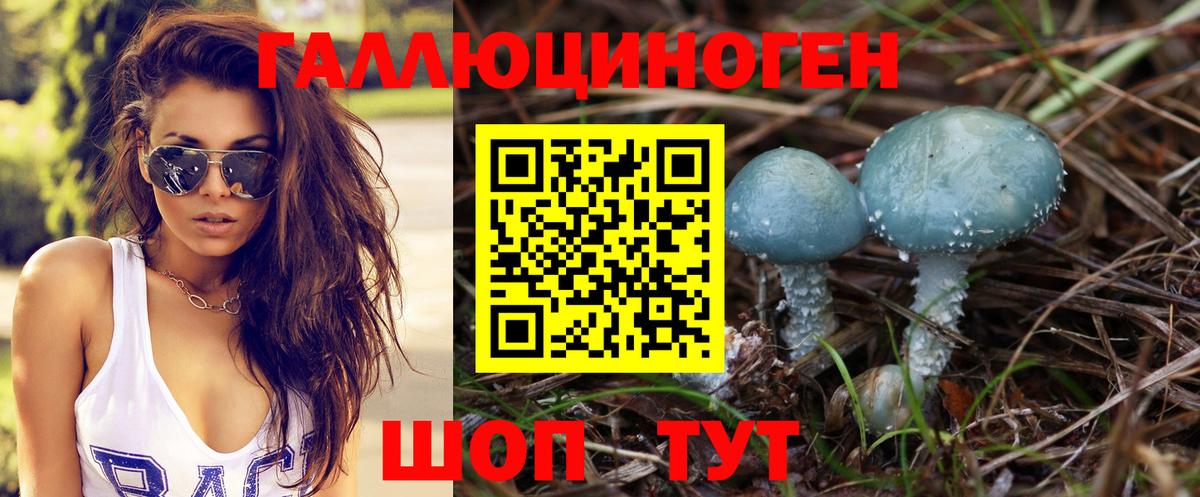 Галлюциногенные грибы Psilocybine cubensis Воткинск