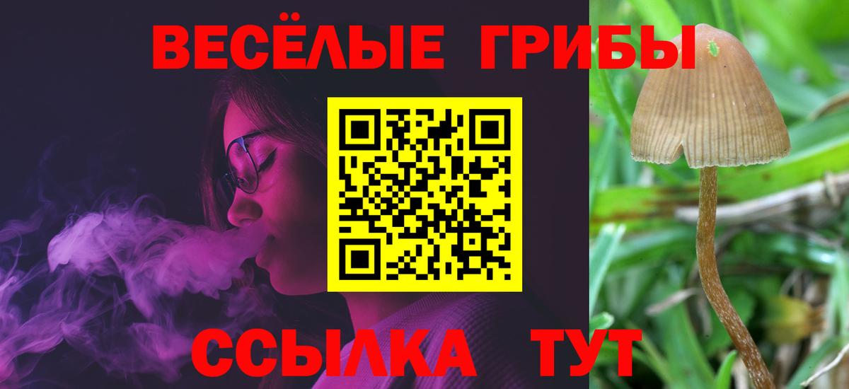 Псилоцибиновые грибы Cubensis Воткинск